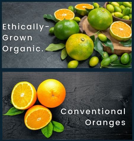 Comparison between conventional oranges (bright orange) and ethically grown organic oranges (greenish tint)