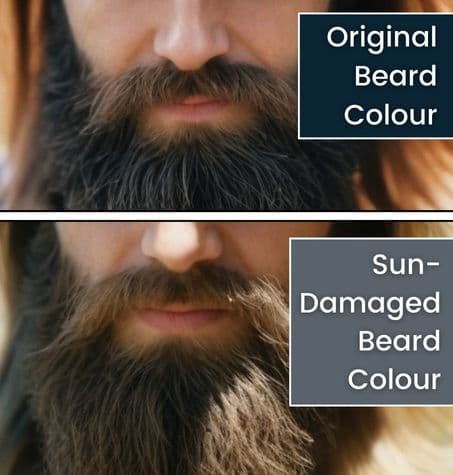 Comparison of beard color top, original; bottom, sun-damaged
