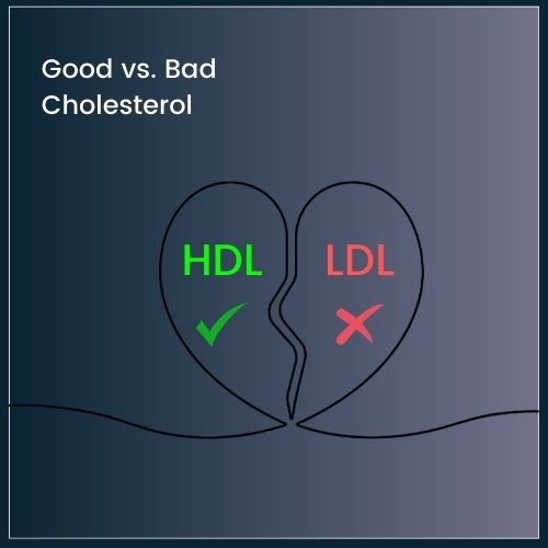 minimalist heart outline split into two halves: • One side labeled “HDL” with a small checkmark. • The other side labeled “LDL” with a small X.