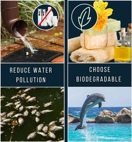 Illustrating the environmental benefits o fnatural grooming products focusing on biodegradability and reduced waste