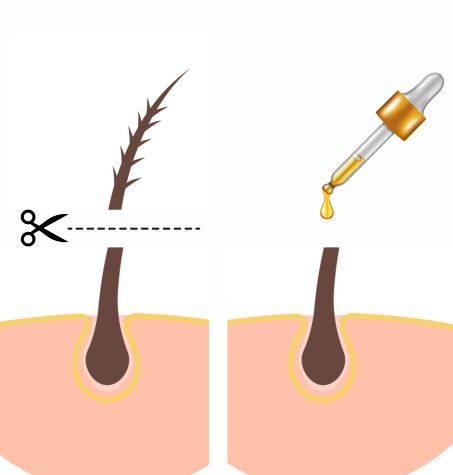 Infographic: beard strand cut beneath split ends, oil applied to new ends