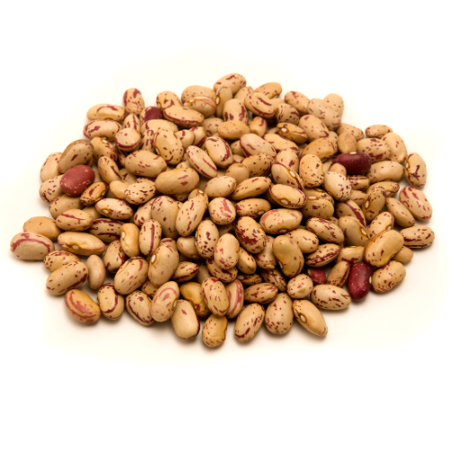 A pile of Pinto Beans on a white background