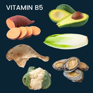 Calcium Rich Food Images