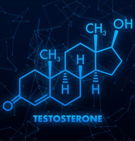 Vector thin line icon of testosterone molecular structure