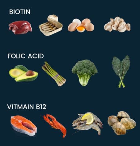 Assorted fresh vegetables, fish, seafood and organ meat, rich in Vitamin B-12, biotin, and folic acid,