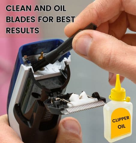 beard trimmer blade casing cleaned with a tiny cleaning brush. A small bottle of oil
