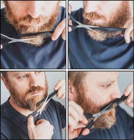 collage: trimming split ends from beard and moustache