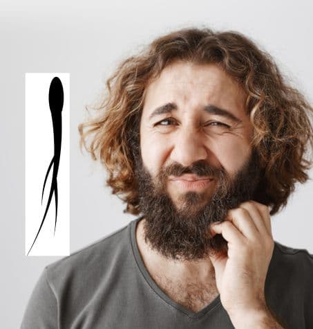 beard with split ends at the tips, appearing messy and dull. Inset image of a person running fingers through their beard