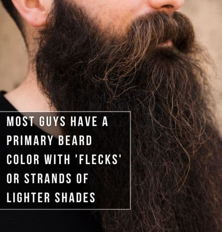 man with long black beard with flecks of blond and red hair