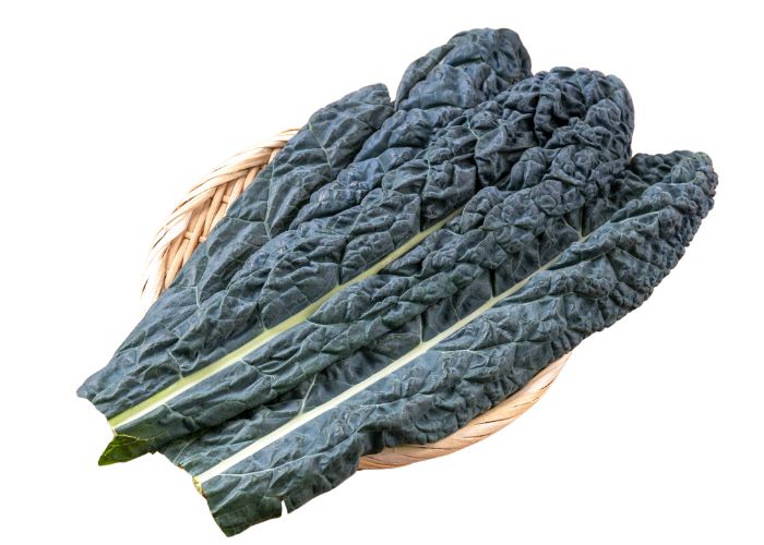 A bunch of nero kale in a wooden bowl against a white background