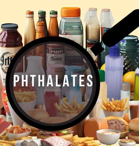 Phthalates surrounded by convenience food and house hold goods