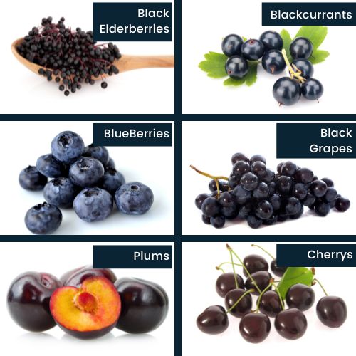 polyphenol rich foods
