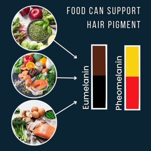 Infographic: Foods affecting hair pigment
