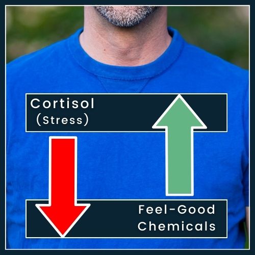 On a clean background, a man’s upper body with two small arrows: Arrow Down labelled Cortisol (Stress) Arrow Up labelled Feel-Good Chemicals