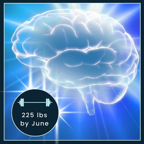 a minimalist brain silhouette on a plain background. around the brain, there's a small barbell icon labeled “225 lbs by June,” showing a specific, written-down goal.