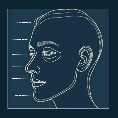 Aesthetics Procedure A minimalist outline of a face with dotted lines (used to show treatment areas)