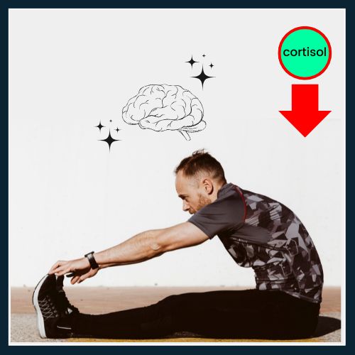 a man in a deep stretching pose. Above his head, is a simplified brain icon with stars fading out, symbolizing a quieting of mental noise. a small downward arrow next to a cortisol droplet icon to represent reduced stress hormones.