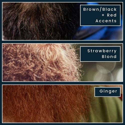 a three-panel layout on a neutral background: Panel 1: A predominantly black beard with subtle red streaks, labelled “Brown/Black – Red Accents.” Panel 2: A lighter, blond beard with red highlights. labelled Strawberry Blond, Panel 3: A beard that’s mostly reddish with very little brown or black labelled Ginger