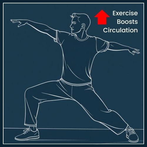 a man doing dynamic stretching. a bold arrow connects the exercise icon to the face, accompanied by a caption that says “Exercise Boosts Circulation.”
