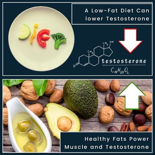 a split-screen design on a clean, neutral background: Left Panel: a plate labelled “Low-Fat Diet” with a small testosterone icon showing a downward arrow, suggesting reduced testosterone levels. Right Panel: a plate featuring healthy fats including avocado, nuts, and olive oil alongside a testosterone icon with an upward arrow, indicating that proper fat intake supports testosterone production and muscle gains.