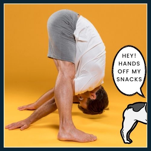 a man in a stretching pose reaching through his legs. Next to him, a cartoonish character representing his "nervous system" is distracted. Includes a speech bubble from the character saying, Hey hands off my snacks