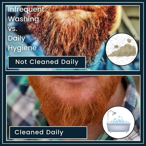 Infographic showing a side-by-side comparison: On the left, a beard covered with icons for dust, bacteria, and sebum, representing infrequent washing; on the right, the same beard appears clean with a water droplet icon, representing daily hygiene.