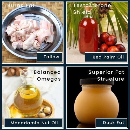 pig tallow on a metal plate labelled “Burns Fat.” a bottle of red palm oil labelled “Testosterone Shield.” a bottle of macadamia nut oil labelled “Balanced Omegas.” a jar of duck fat labelled “Superior Fat Structure.”