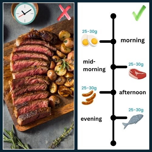 Left Side: a massive steak with a clock icon indicating a single meal. a red “X” to shows that this approach isn’t ideal. Right Side: Displays four smaller protein portions arranged along a timeline (morning, midmorning midday, evening). Each portion has a small label “25-30g” and a check mark to show proper timing.
