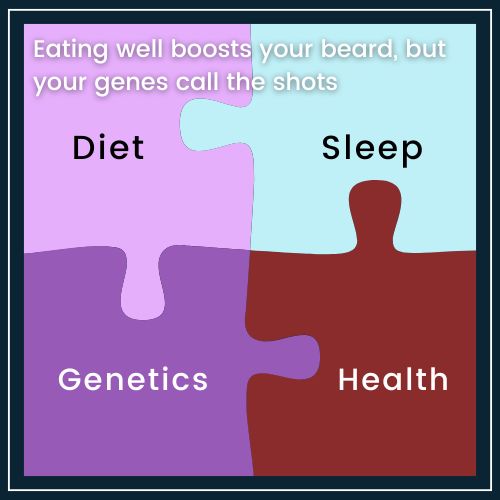 a jigsaw puzzle with four pieces arranged to form a complete picture. Each puzzle piece is labeled: one “Diet,” one “Sleep,” one “Stress & Health,” and one “Genetics.” a brief caption says Eating well boosts your beard, but your genes call the shots