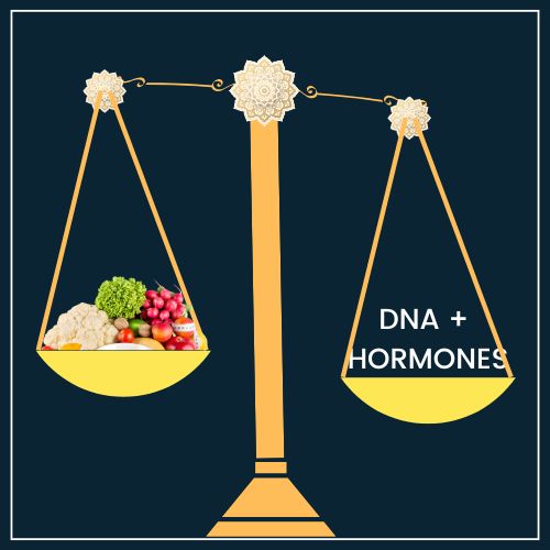a balanced scale. On one side of the scale is a plate filled with healthy foods (like lean protein, vegetables, etc.) to represent a good diet. On the other side, is a DNA double helix icon to represent genetics. the scale is slightly tipped toward the DNA side