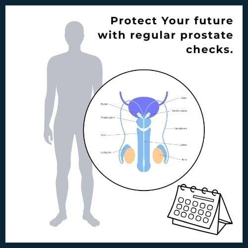 Infographic-style design of a male silhouette with a highlighted prostate area, a test tube and calendar icon, symbolizing the importance of regular prostate screenings.