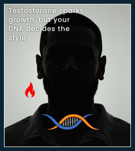 "Infographic of a male face with a spark icon near the beard area, symbolizing testosterone’s role in beard growth moderated by DNA.