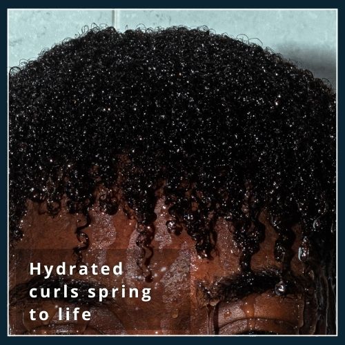 Macro shot of defined curly hair with visible moisture droplets, illustrating how deep hydration revives curl bounce.
