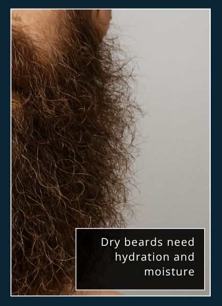 Extreme close‑up of coarse, dry beard hairs—frizzy, matte texture with split ends.