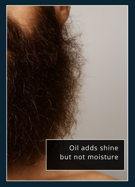 close‑up of coarse, dry beard hairs—coated in a thin layer of oil or butter—visible shine on the shafts, but frizzy,