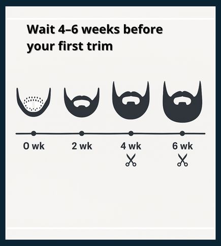 Horizontal timeline from Week 0 to Week 6 showing a beard icon gradually filling in with a scissor icon marking Weeks 4–6