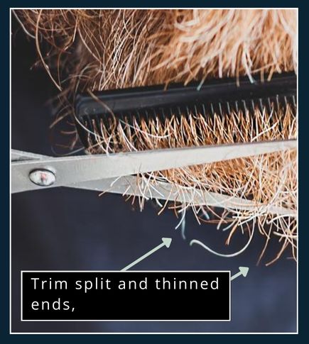 Man trimming split ends from beard with scissors