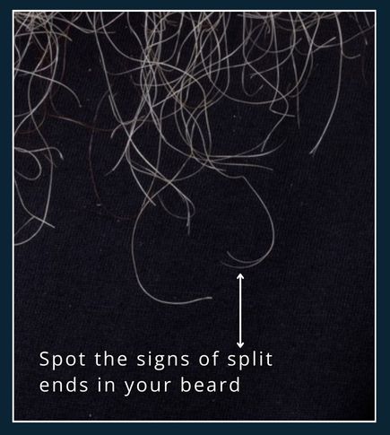 Beard strands with visible split ends and dryness