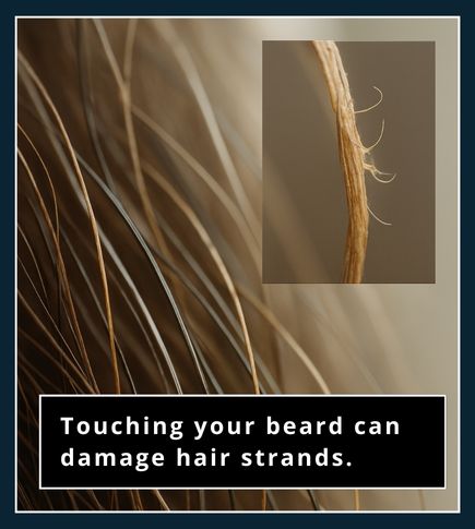 Macro close-up of beard hair showing smooth and frayed strands with a zoomed inset of frizz.