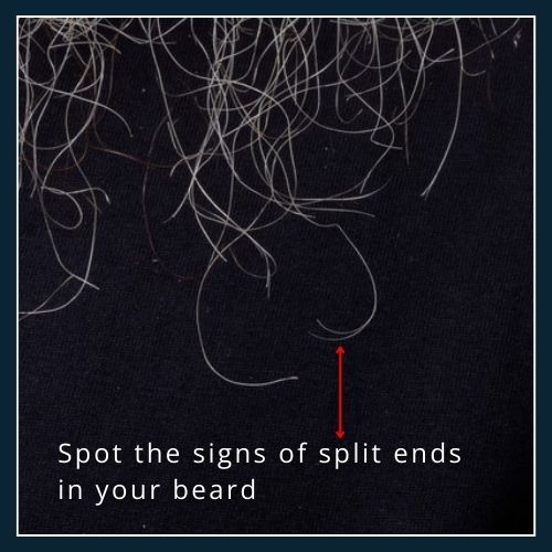 Beard strands with visible split ends and dryness