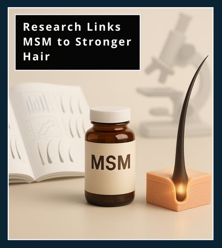 MSM supplement bottle placed between an open research book with graphs and a glowing hair follicle cross-section, with a microscope outline in the background to represent studies on MSM and hair growth.