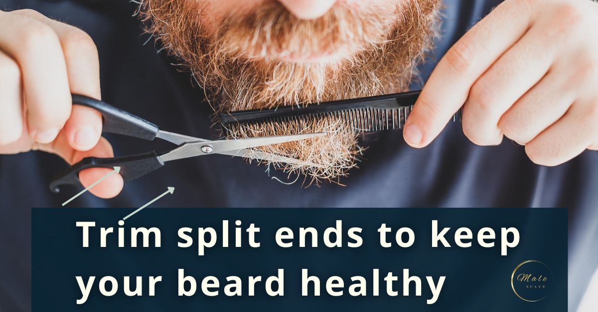 Split Beard How To Deal With Split Ends In Your Beard: Prevention & Treatment