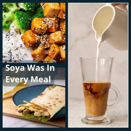 Collage of Dairy Free Meals that are full of soya.